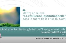 La résilience institutionnelle dans le cadre de la crise du COVID19